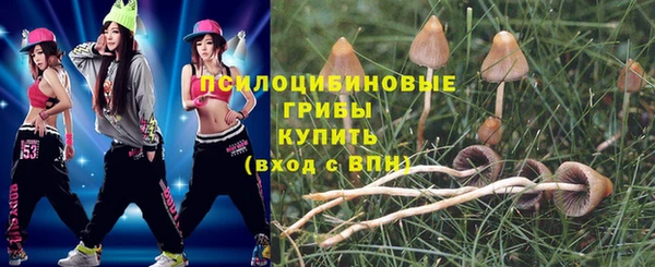 экстази Богородицк
