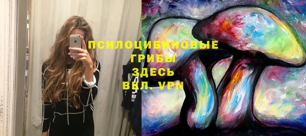 экстази Богородицк