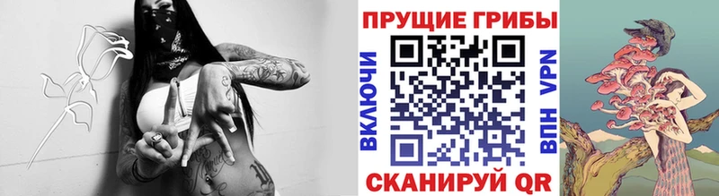Псилоцибиновые грибы прущие грибы  Купить  Карпинск 