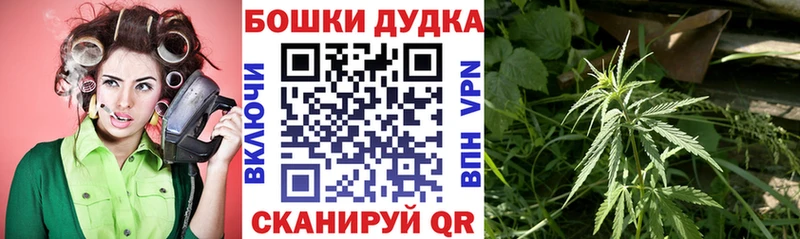 Конопля SATIVA & INDICA Карпинск